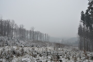 Hiking in Chriby Hills, proper winter conditions