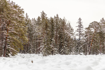 River of stones in the Taganay national Park. Taganay national Park, Zlatoust city, Chelyabinsk region, South Ural, Russia