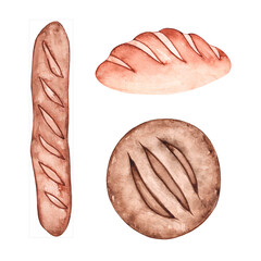 Watercolor bread set. Bakery clipart. French baguette, loaf, roll. Isolated over white background. Drawn by hand.