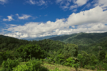 Naklejka na ściany i meble Beautiful blue sky high peak mountains mist fog wildlife green forest at changmai