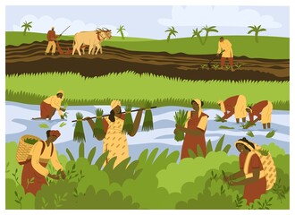 Indian man and Women workers are working in the field. Rice planting in Asia, picking tea leaves on the plantation, plowing the land. Natural farming, village. Flat style in vector illustration.
