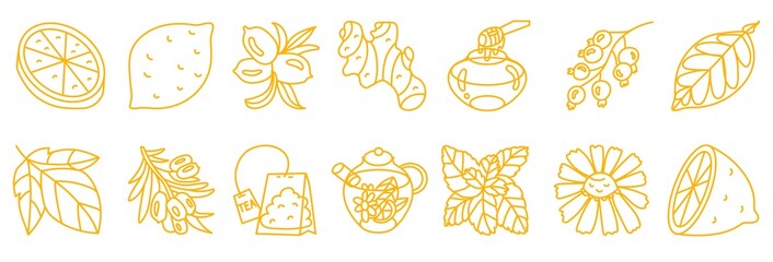 Set with boost immunity system elements. Nature harvest, healthy product, tea ingredient. Alternative medicine. Isolated element. Vector illustration. Use for eco market and healthy food packing.