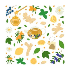 A collection of elements for making healthy tea. Natural ingredients are substitutes for drugs. Immune Strengthening Drinks. Alternative medicine. Flat style in vector illustration. Isolated element.