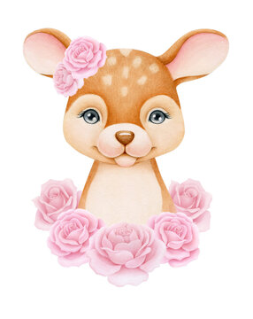 Baby Deer and roses. Hand drawn cute fawn. Watercolor illustration