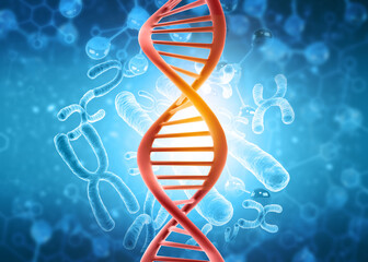 DNA with chromosomes on medical background. 3d illustration