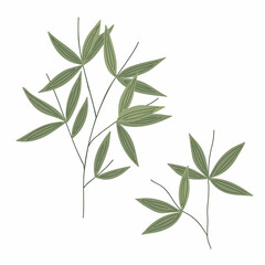 Bamboo leaves simple flat style vector illustration, traditional japanese plant, oriental decorative ornament for design, greeting card, template, banner, zen concept