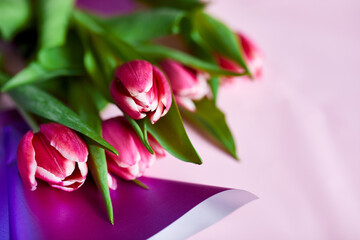 Top view pink tulips flowers in violet paper wrapper, festive background, concept of Happy Mother's day, Woman's day, birthday, 8 March, Valentines day