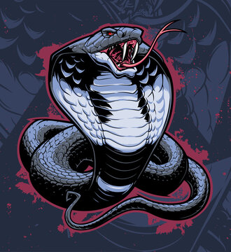Vector illustration of stylized snake cobra on the dark blue abstract background.