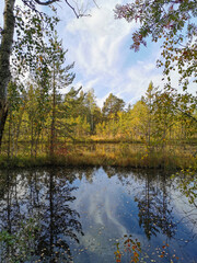 The mirror surface of a forest lake, in which trees with yellowing leaves and the sky with beautiful clouds are reflected.