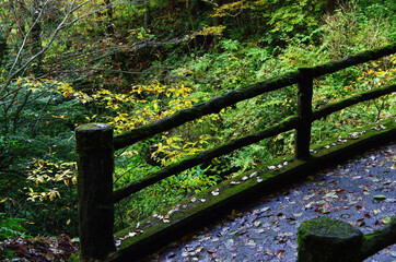 太鼓橋の欄干（荒川剣龍峡）