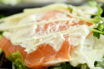 Salmon sashimi fish seafood japanese cuisine cooking food