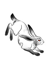 Hand drawn illustration of running hare