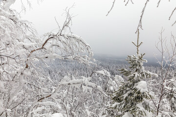 Winter landscape. Black rock, Taganay national Park, Zlatoust city, Chelyabinsk region, South Ural, Russia.