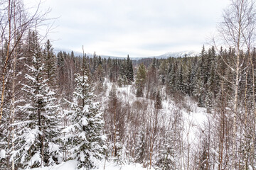Winter landscape. Black rock, Taganay national Park, Zlatoust city, Chelyabinsk region, South Ural, Russia.