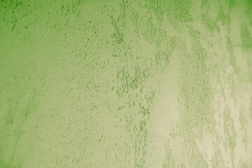 Green wall plaster close-up. Decorative Venetian plaster