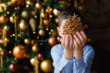 The child holds a large pine cone in his hands, covering his face. A boy in a blue shirt stands against the background of a Christmas tree with golden balls and lights of side garlands.