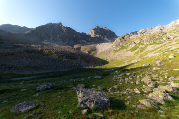 A high mountain gorge with grass, trees, and rocks, in early fall