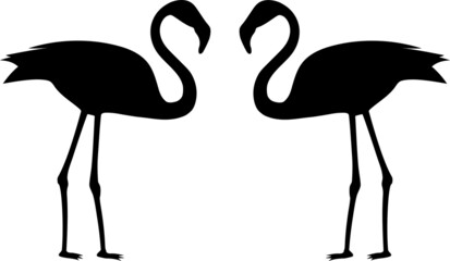Black silhouette of a flamingo bird. Illustration on a white background. Two flamingo birds. © Мария Лаптева