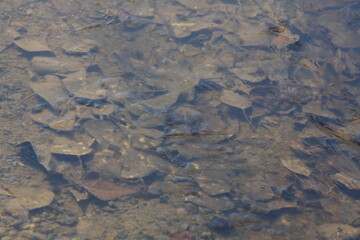 texture of stone