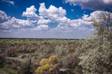 blue sky and clouds
