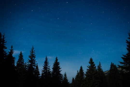 Trees Dark Car Against Starry Sky Stock Photo 1181730157