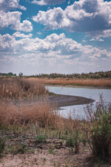 river in the desert