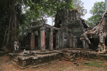 Fototapeta premium Ta Prohm Temple, Angkor, Cambodia