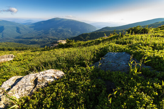 mountain landscape in summer. view in to the distant valley from the top of an alpine meadow with stones and rocks. beautiful nature of carpathian region with forested hills