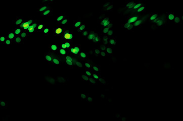 defocus green lights on a black background