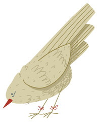 Simple minimalistic flat illustration of curious beige bird with head down looking down