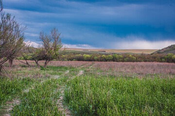 Fototapeta premium landscape with sky and clouds