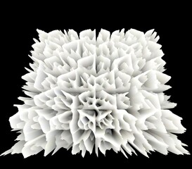 3D exploding floral fantasy ın only brıght white and pale grey on a plain black background