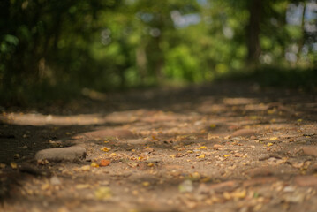Trail blurred background