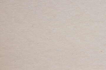 Texture of light cardboard, craft paper, light background