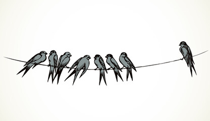 Swallows are sitting on a wire. Vector drawing