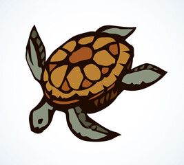 Sea turtle. Vector drawing icon