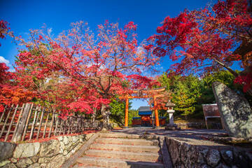 京都　天龍寺の紅葉