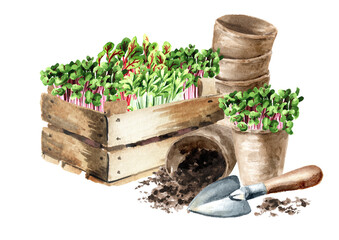 Sprouts ready for planting and garden tools. Spring works in the garden, Hand drawn watercolor illustration isolated on white background © dariaustiugova