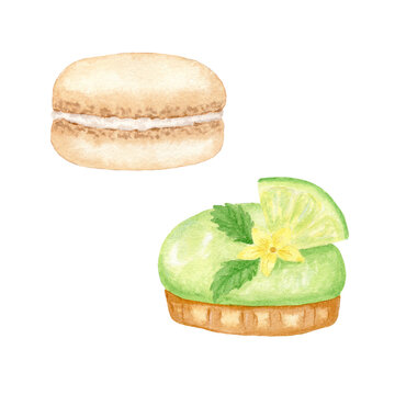Watercolor macarons. French cooking, pastries. Pastry. Macaroon isolated on white background. Dessert in a tartlet. Design for the menu.