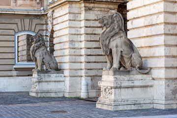 Statues of lions at royal palace of Buda in Budapest, Hungary