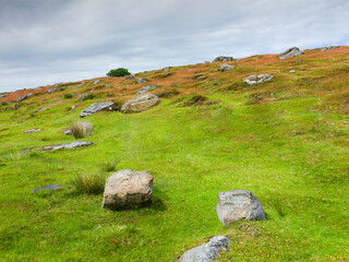 Fototapeta na wymiar Scenic view along moorland landscape with flowering grasses and rocks. Goathland, UK.