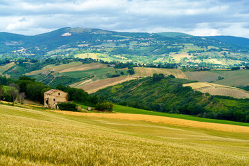 Rural landscape near Cingoli and Appignano, Marche, Italy
