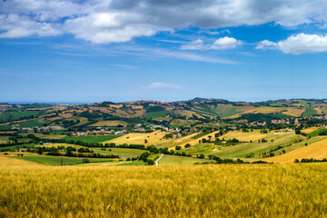 Obraz premium Rural landscape near Santa Maria Nuova and Osimo, Marche, Italy