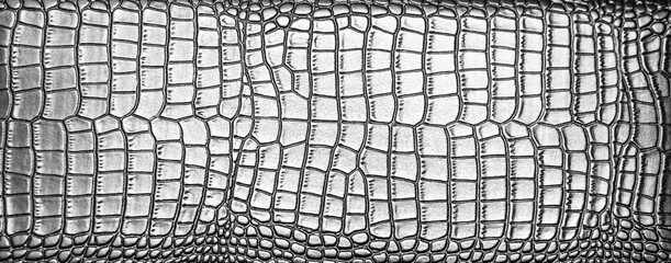 background of natural Silver crocodile leather. texture of snake skin.  The texture of natural...