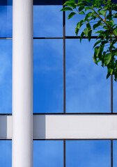 Part of white concrete column in front of blue glass wall with blurred green tree branch on foreground in vertical frame