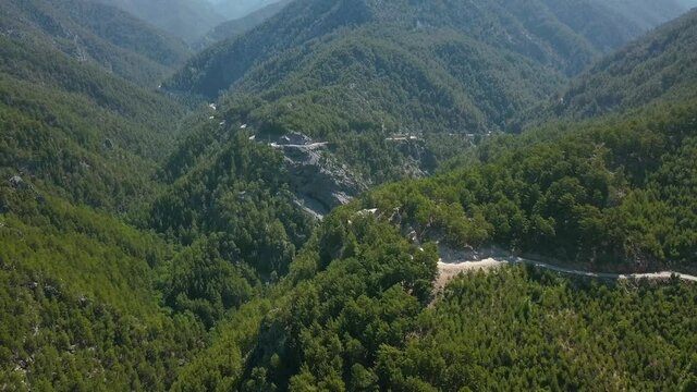 A bird's-eye view of huge mountains. Clip. Huge green summer mountains with growing trees on them .