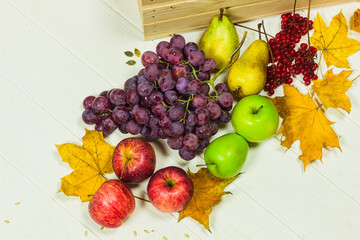 Autumn harvest. Fruits and fallen maple leaves. Grape, apples, pears and guelder rose on the table top view