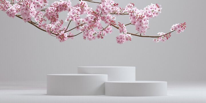 Cosmetic background. japanese style podium and cherry blossom white background for product presentation. 3d rendering illustration.