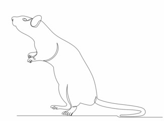 rat, mouse one continuous line drawing, vector