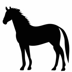 horse, black silhouette, vector, isolated